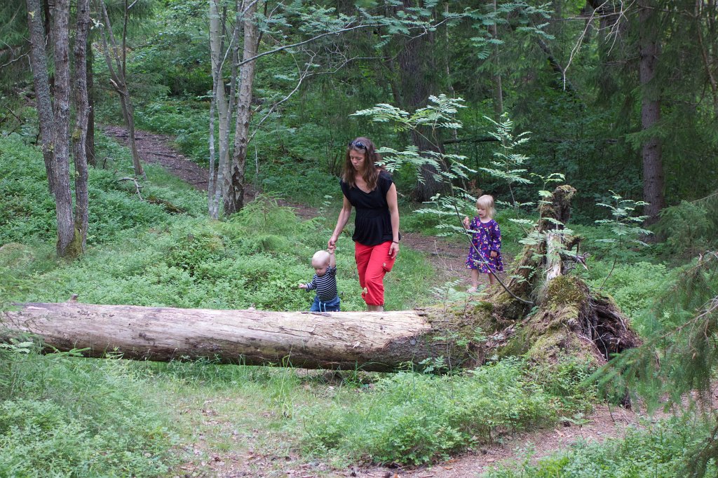 20130630-16-33-03.jpg - Fredrik har just släpat förbi barnvagnen