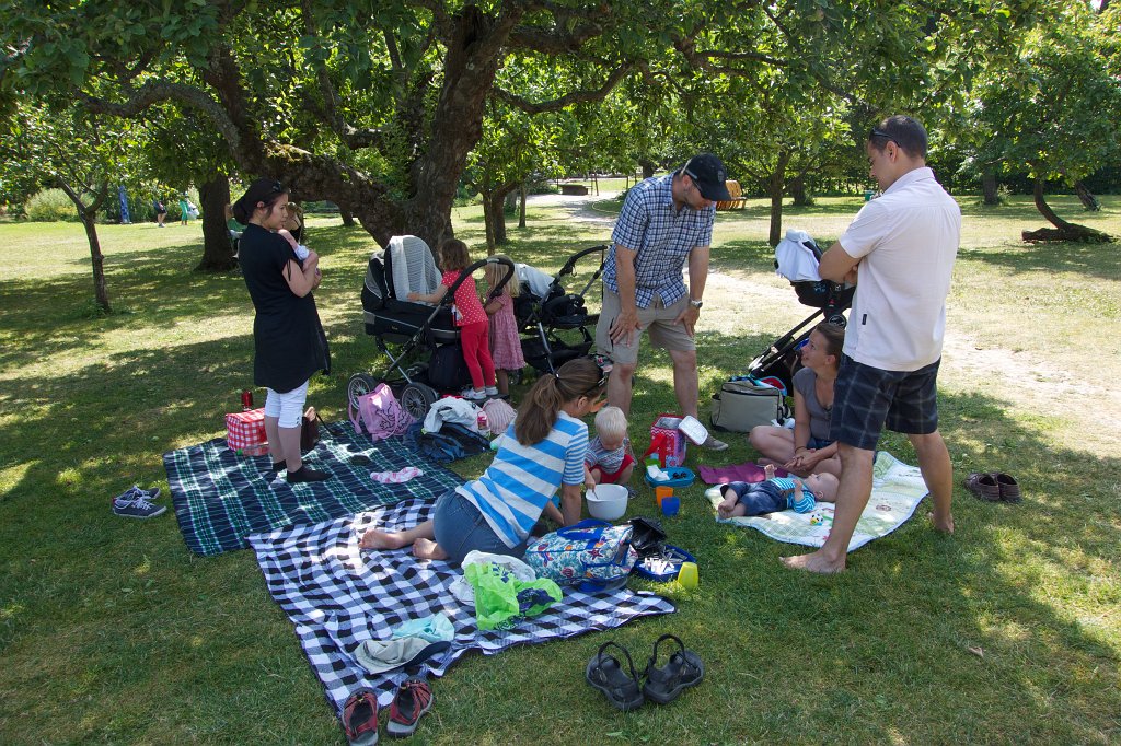 20130726-12-54-12.jpg - Rosendals trädgård