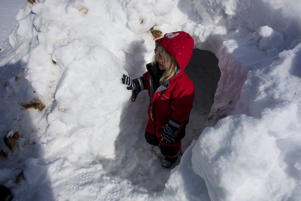 20130329-16-09-29.jpg - Rolfs björnide i Röjden