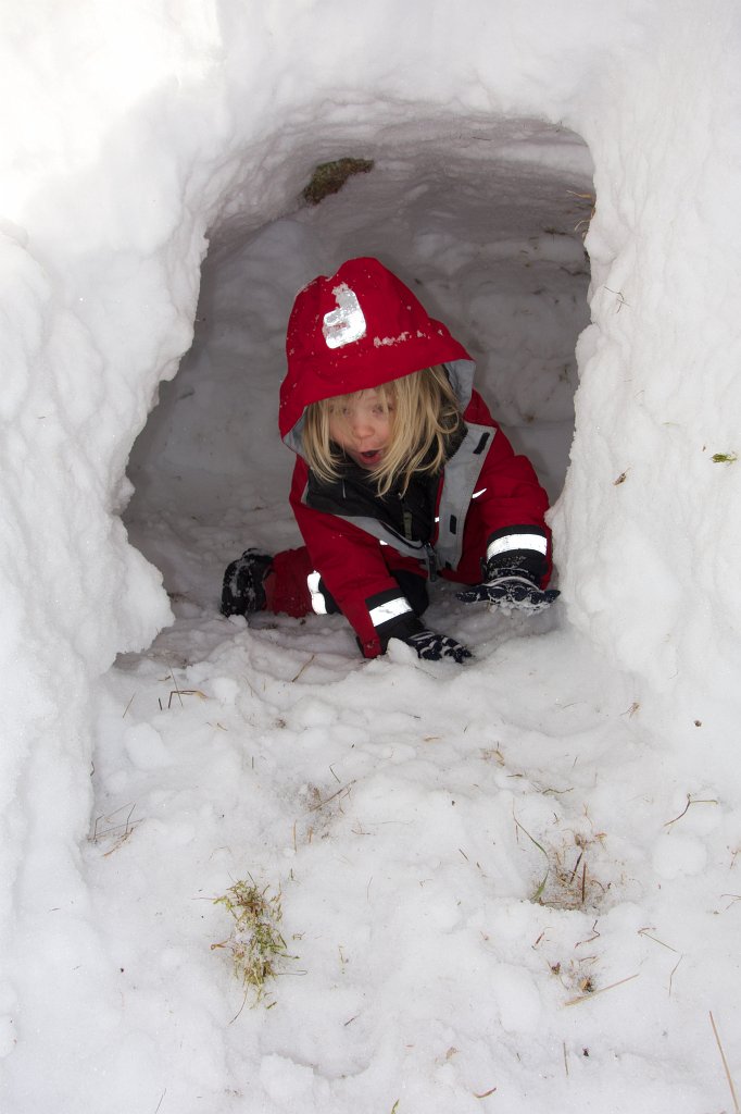 20130329-16-10-31.jpg - Rolfs björnide i Röjden
