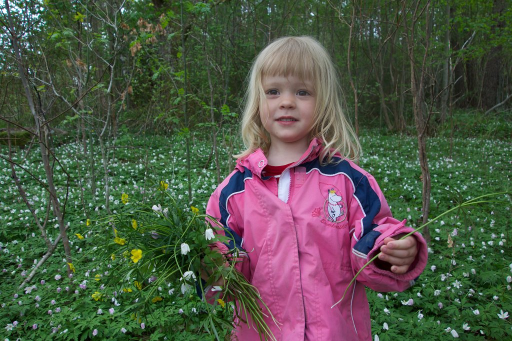 20130521-13-24-24.jpg - Blomplockning i Skepplanda