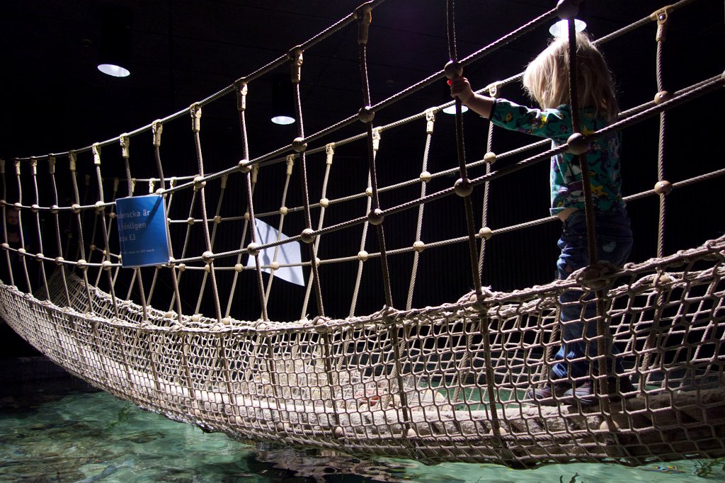 20130316-14-14-49.jpg - Universeum