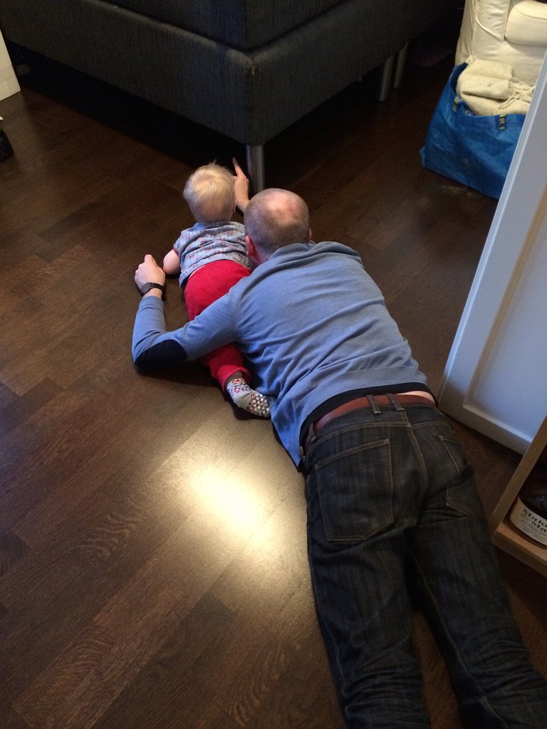 20131124-14-43-09.jpg - Robin är på kattjakt med Björn