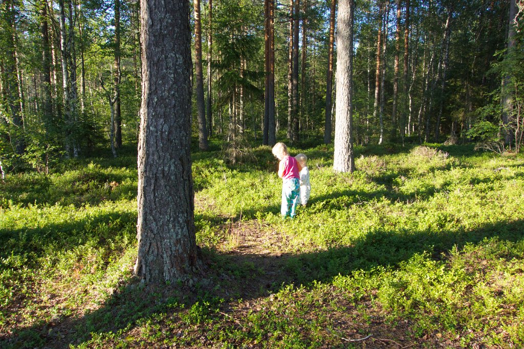 20140722-19-45-09.jpg - Letar efter blåbär i pyjamas...