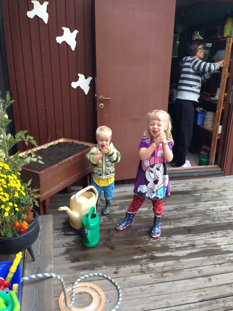 20140817-18-42-20.jpg - Morötter direkt från trädgårdslandet