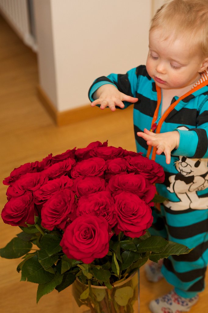 20140216-18-30-04.jpg - Födelsedag och Alla hjärtans dag